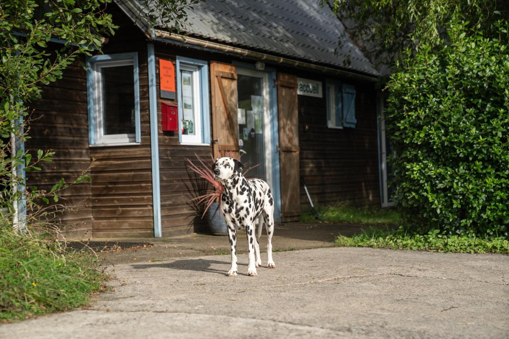 Gites 4,6 Personnes Fecamp Etretat Colleville Exterior foto